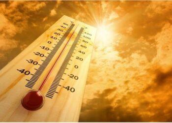 Invierno en Misiones: las temperaturas rozarán los 40ºC 17 2024