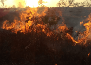 Confirman que incendio en Campo San Juan afectó a más de 230 hectáreas 9 2024