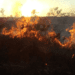 Confirman que incendio en Campo San Juan afectó a más de 230 hectáreas 3 2024