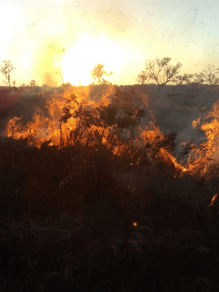 Confirman que incendio en Campo San Juan afectó a más de 230 hectáreas 3 2024