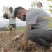 'Crece Selva Misionera': El desafío de reforestar 7 2024