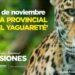 Este lunes se celebra el Día Provincial del Yaguareté 3 2024