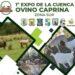 La primera Expo de la Cuenca Ovino Caprina se realizará el 11 y 12 de diciembre en Profundidad 3 2024