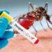 Se lanza hoy Campaña de Lucha contra el Dengue en Misiones 3 2024