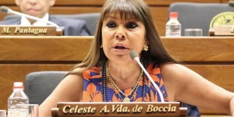 Una diputada opositora dijo que hay dinero narco en todos los partidos paraguayos 1 2024