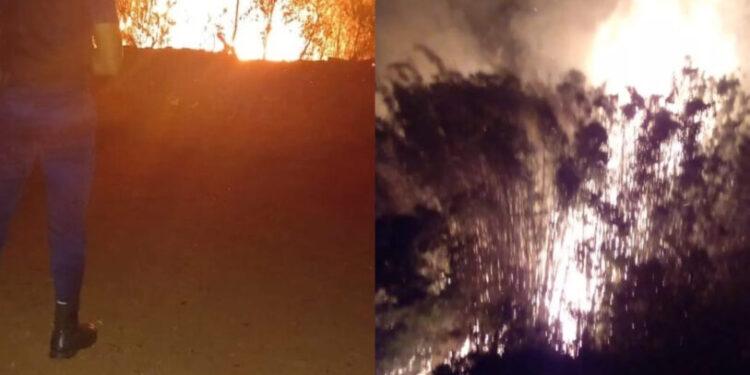 Bomberos sofocaron incendios de malezas en Corpus y Azara 1 2024