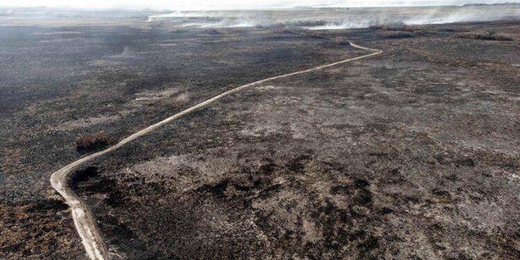 Se abrieron más de 70 causas por denuncias de incendios rurales intencionales en Corrientes 1 2024