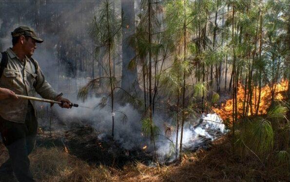 Estiman en más de $ 26.000 millones las pérdidas por los incendios en Corrientes 1 2023