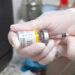 Paraguay: exigirá la vacuna contra la fiebre amarilla a viajeros de Bolivia y Brasil 3 2024