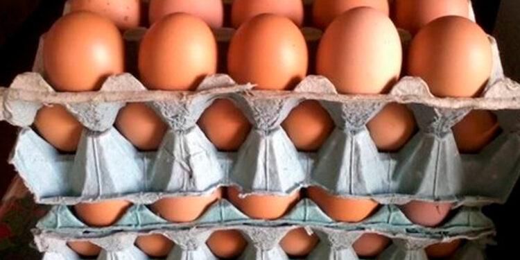 El huevo aumentó más del 50 por ciento, aunque reconocen que fue una medida “abrupta” 1 2024