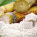 Sin zafra, productores de caña de azúcar serían subsidiados por el daño que sufrieron las plantaciones 3 2024