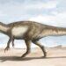 Hallaron los restos de un gigante megarraptor, el más grande encontrado hasta el momento 3 2024