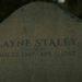 Layne Staley: A 20 años del trágico final de otro ícono de la 'Generación X' 3 2024