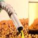 Proponen utilizar el biodiesel ante la escasez de gasoil: “Estamos en condiciones de producir y es competitivo” 3 2024