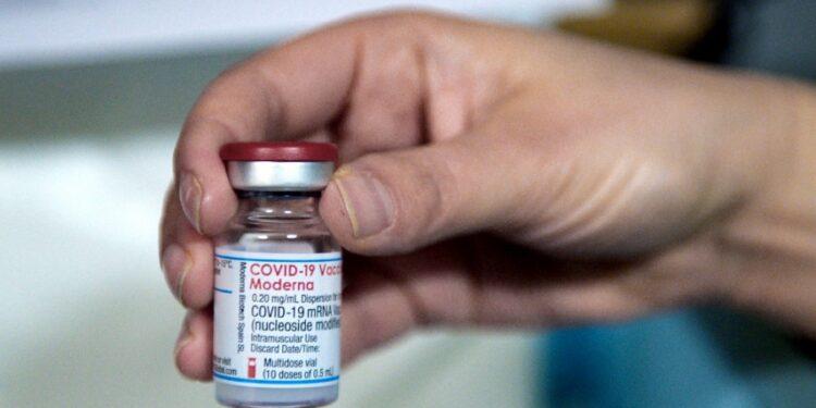 Argentina comenzará a recibir vacunas anticovid pediátricas de Moderna 1 2024