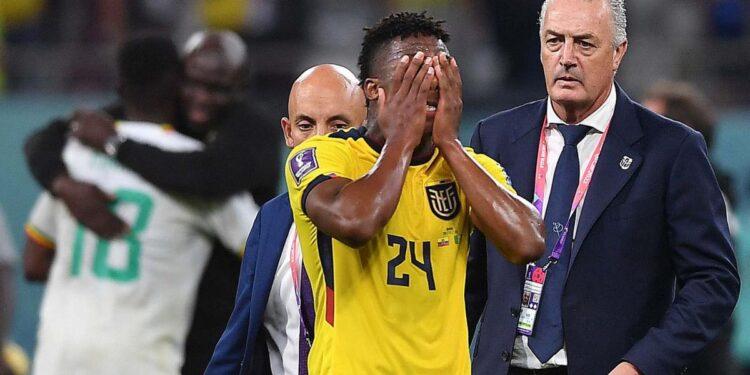 El sueño de Alfaro se esfumó en tres minutos y Ecuador quedó afuera de Qatar 2022 1 2024