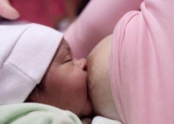 Un estudio afirma que es beneficioso consumir yerba mate durante la lactancia materna 19 2024