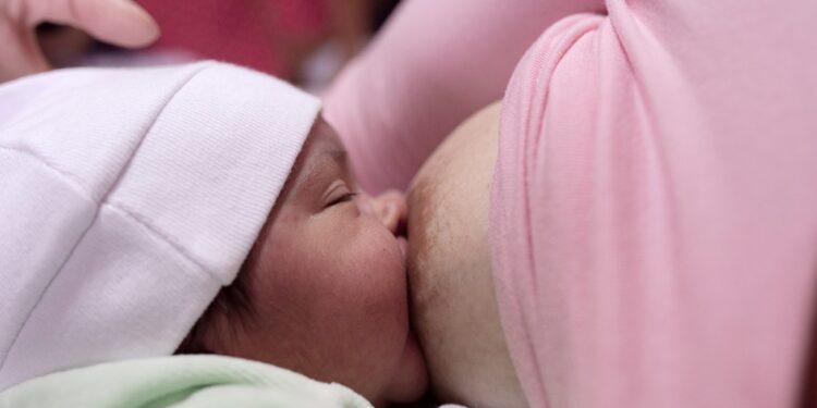 Un estudio afirma que es beneficioso consumir yerba mate durante la lactancia materna 1 2024