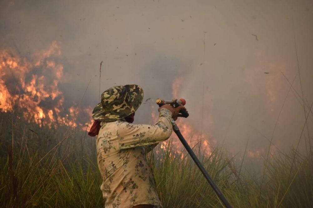 Dotaciones de bomberos trabajan para extinguir un incendio forestal en Villa Olivari, Corrientes 2 2023