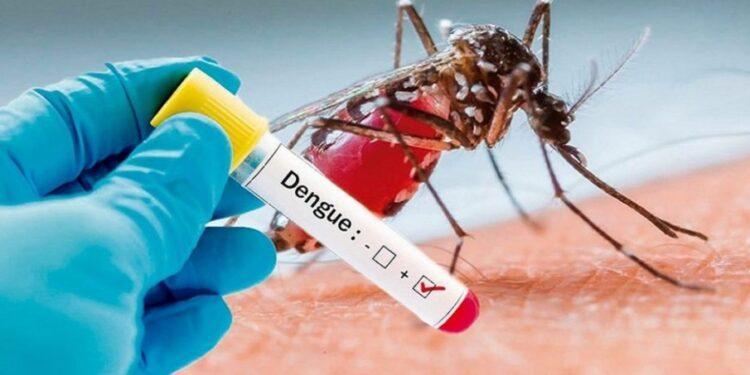 Ante el aumento de casos en Paraguay intensifican la vigilancia por dengue y chikungunya 1 2024