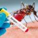 Ante el aumento de casos en Paraguay intensifican la vigilancia por dengue y chikungunya 3 2024