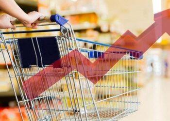 La inflación de noviembre fue de 12,8%, impulsada por suba de 15,9% en alimentos y bebidas 7 2024