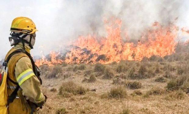 El incendio en un portal de los Esteros del Iberá ya arrasó con 5 mil hectáreas 1 2024