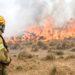 El incendio en un portal de los Esteros del Iberá ya arrasó con 5 mil hectáreas 5 2024