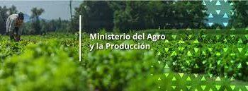El Ministerio del Agro se refirió sobre posibles estafas a productores, pidió "tranquilidad" y que ante algún caso se haga la denuncia 11 2024