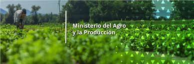 El Ministerio del Agro se refirió sobre posibles estafas a productores, pidió "tranquilidad" y que ante algún caso se haga la denuncia 1 2023