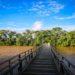 Cabandié y Herrera Ahuad presentaron las nuevas pasarelas de la Garganta del Diablo del Parque Nacional Iguazú 3 2024
