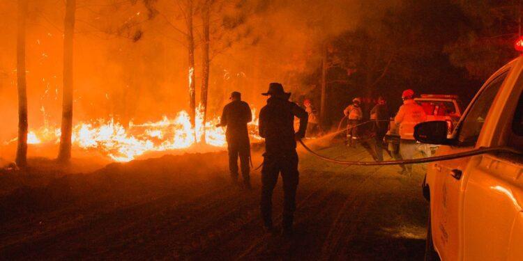 Ituzaingó combate las llamas de los incendios, que consumieron 5 mil hectáreas 1 2024
