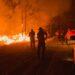 Ituzaingó combate las llamas de los incendios, que consumieron 5 mil hectáreas 3 2024