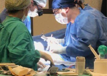 Realizaron el trasplante renal número 100 en Misiones 11 2024