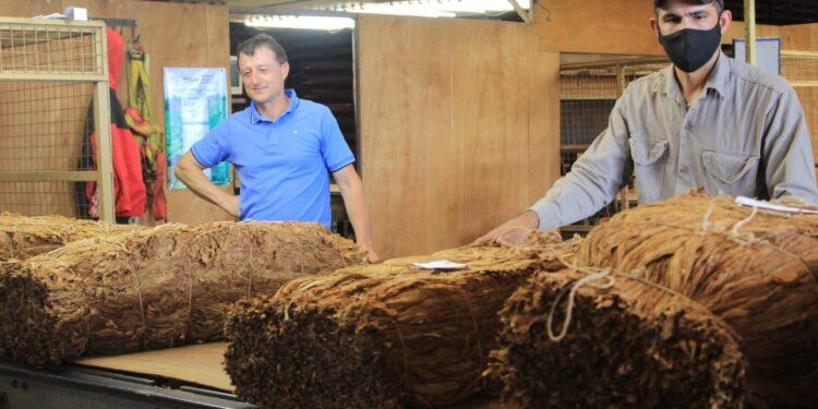 Sin retenciones a la madera y el tabaco, resaltan que esto "traerá un alivio importante para el sector" 1 2023