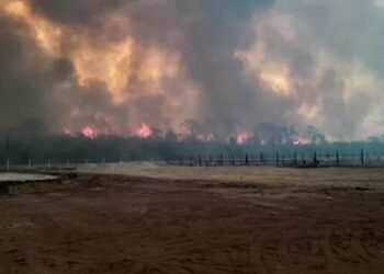 Jujuy registró más de 50 incendios en una semana: preocupa un foco activo en las Yungas 9 2024
