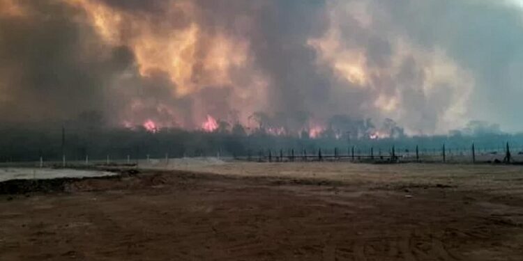 Jujuy registró más de 50 incendios en una semana: preocupa un foco activo en las Yungas 1 2023