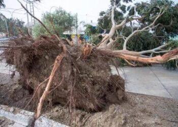 Cerca de 200 viviendas en Comodoro Rivadavia quedaron afectadas por el temporal 5 2023