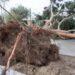Cerca de 200 viviendas en Comodoro Rivadavia quedaron afectadas por el temporal 3 2023
