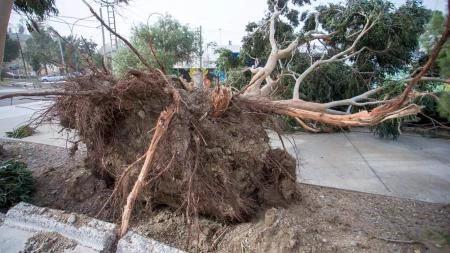 Cerca de 200 viviendas en Comodoro Rivadavia quedaron afectadas por el temporal 1 2023