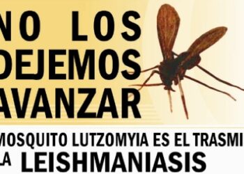 Itaembé Guazú: un niño fue diagnosticado con leishmaniasis 3 2023