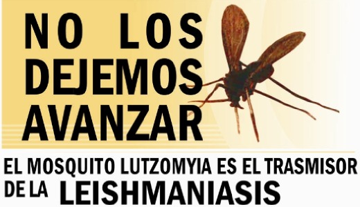 Itaembé Guazú: un niño fue diagnosticado con leishmaniasis 1 2023