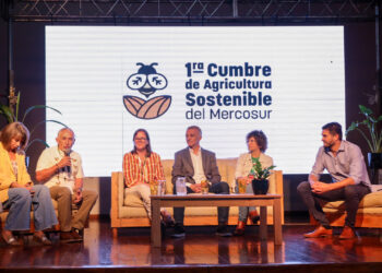 Misiones agasaja a la primera Cumbre de Agricultura Sostenible del Mercosur 11 2024