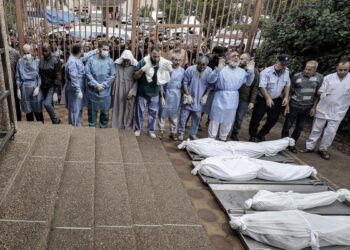El drama en Gaza: enterraron a 179 personas en una fosa común 15 2024