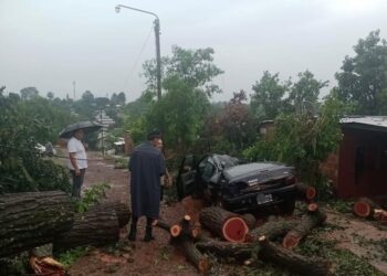 El temporal golpeó con fuerza en las zonas Centro, Sur y Alto Uruguay 17 2023