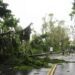 ¿Fue un huracán? Qué dicen los especialistas sobre el temporal que afectó al Amba y a Bahía Blanca 5 2024