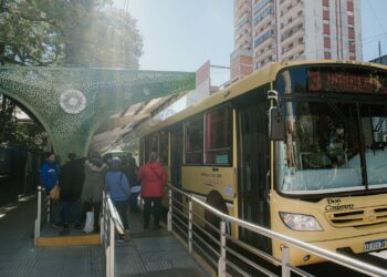 El municipio capitalino oficializó el llamado a licitación para seis líneas del transporte urbano 5 2024