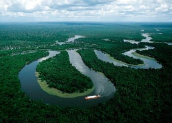 Descubrieron una red de ciudades, rutas y granjas de hace 2500 años en el Amazonas 5 2024