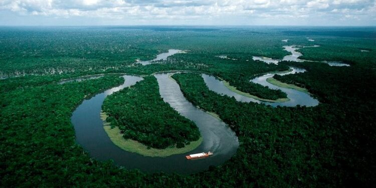 Descubrieron una red de ciudades, rutas y granjas de hace 2500 años en el Amazonas 1 2024