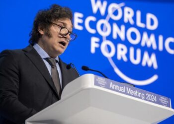 Milei defendió las políticas de mercado y el capitalismo: "Occidente está en peligro" 15 2024